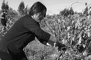 7d145735-892a-4e0c-862c-faaaf6c2e8db_BN