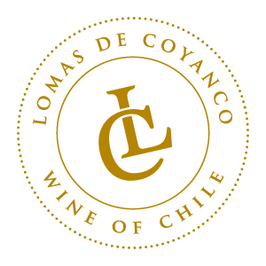 fondo_Mesa de trabajo 1 copia